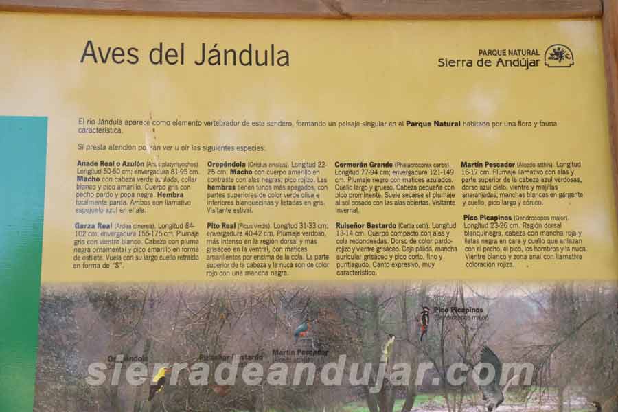 sierra-de-andujar-67 ruta encinarejo